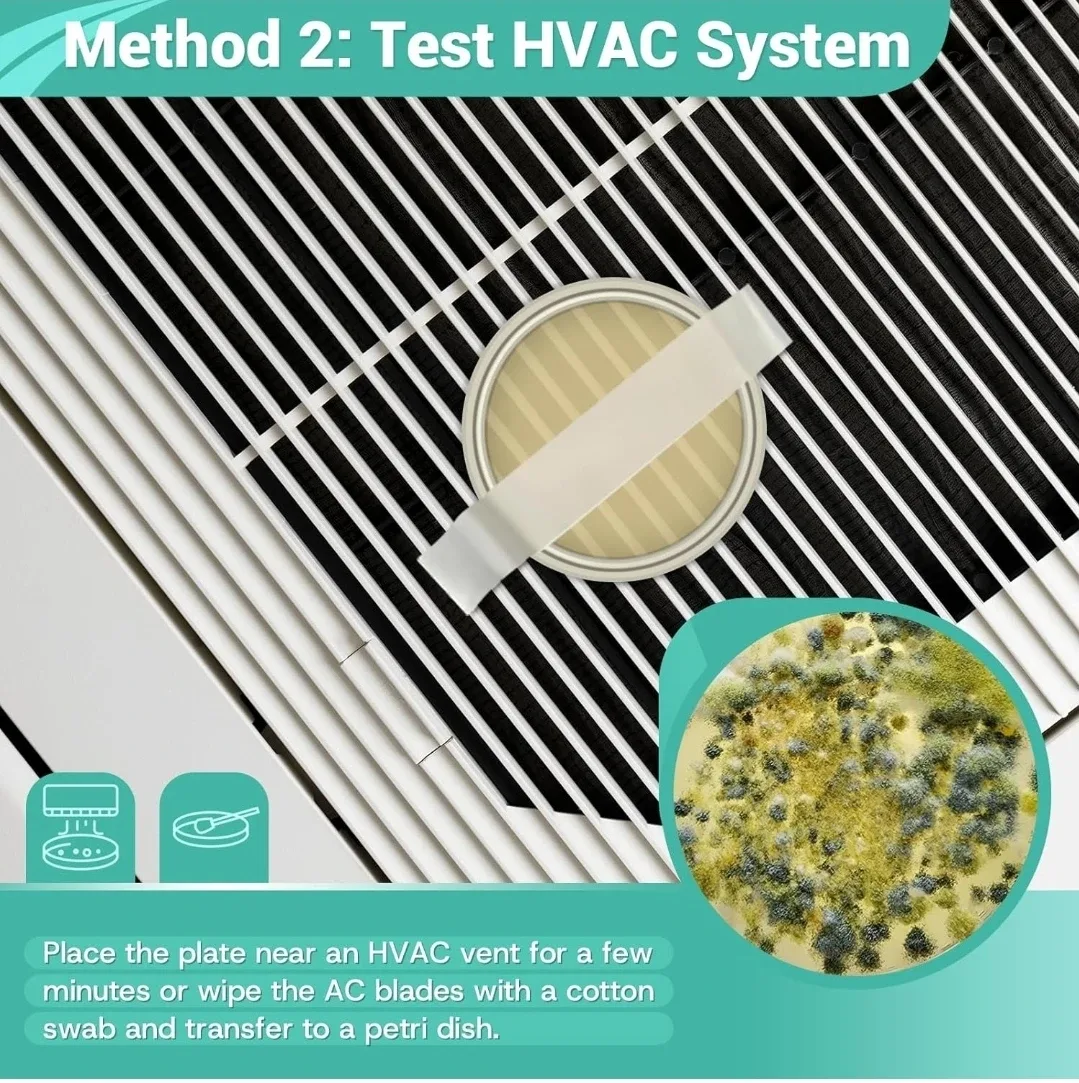 Mold Test Kit for Home Detection image indicator(5)