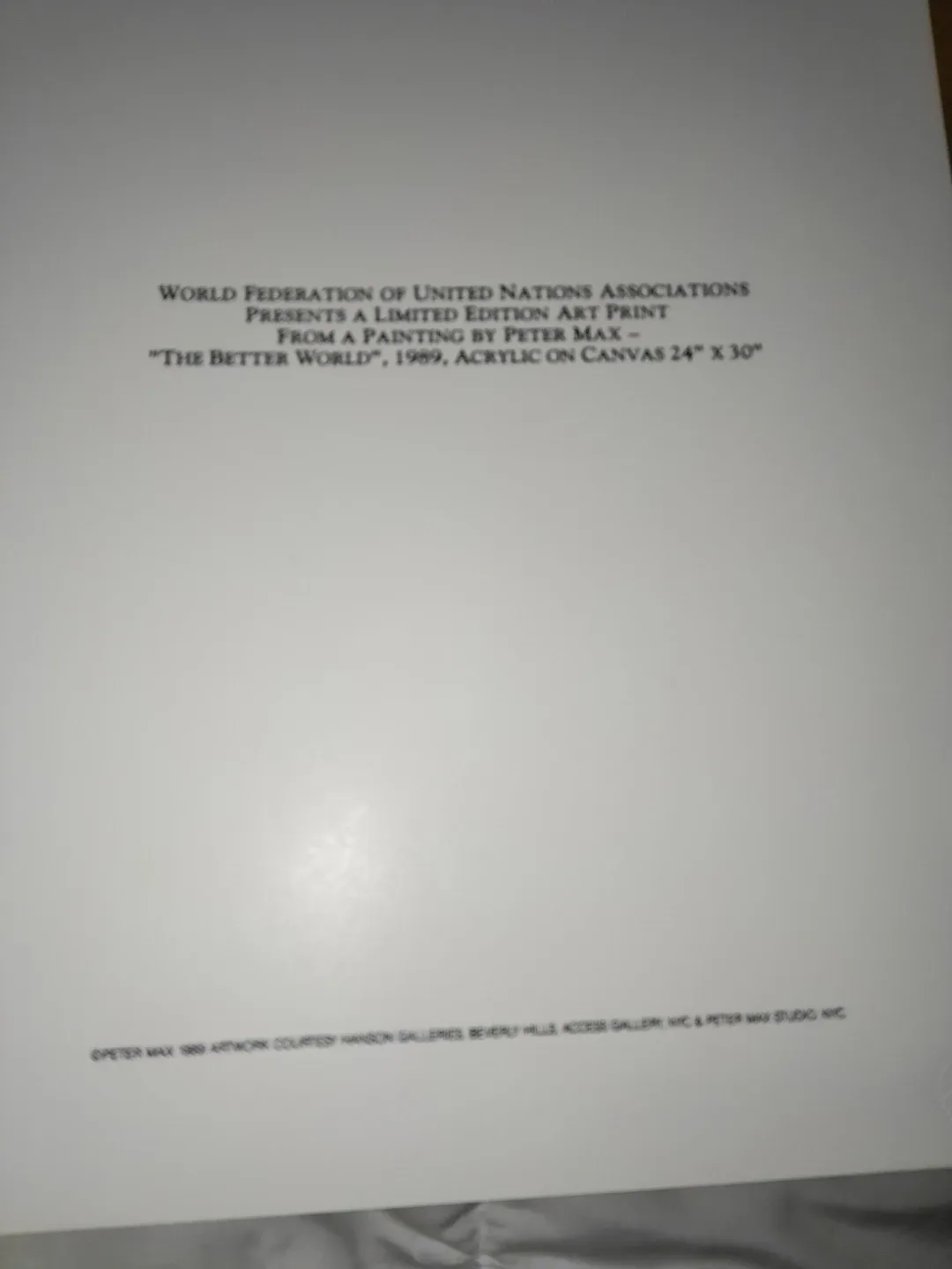 United nations peace keeping force 442/750 image indicator(3)