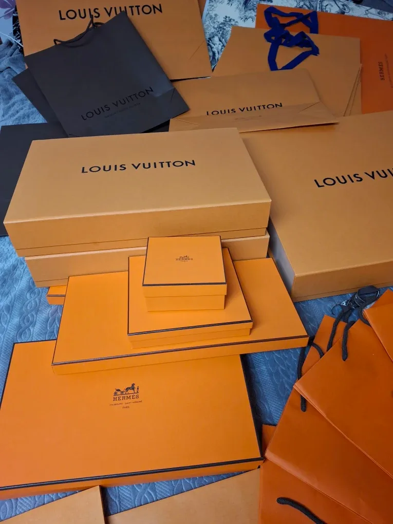 Luxury Brand Shopping Bags: LV, Hermes, Louboutin image indicator(5)