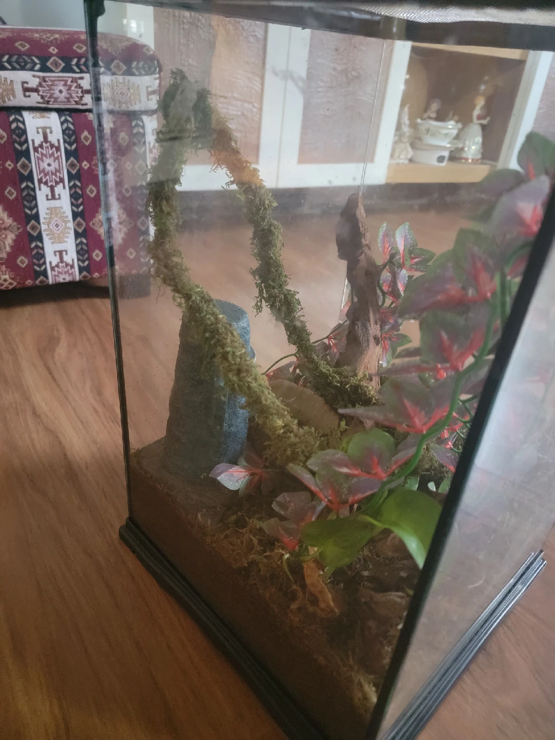 Terrarium with decor - photo 5