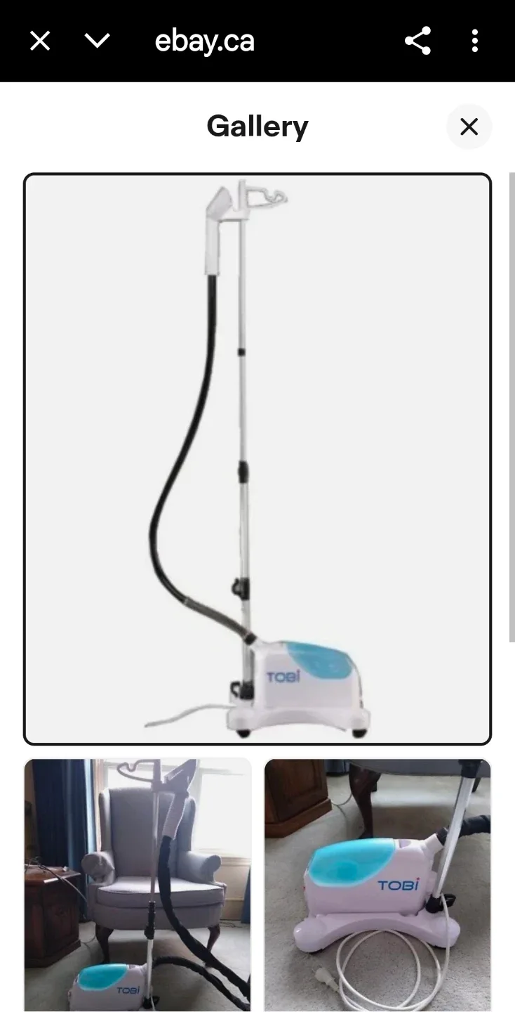 Tobi Garment Steamer - Gently Used