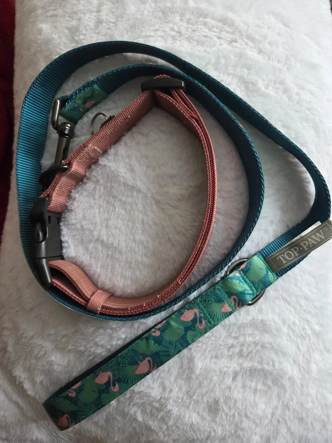 Top Paw Dog Collar and Leash Set