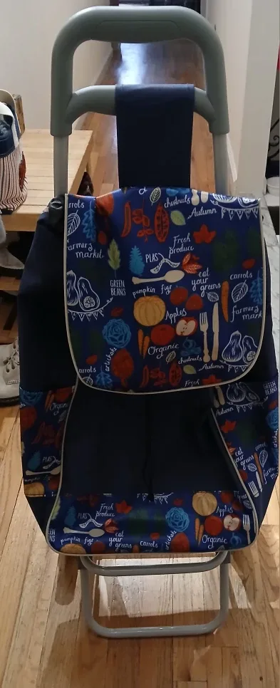 Rolling Shopping Cart with Food Design