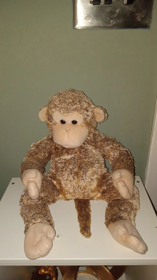 TY Beanie Buddy 2003 Collectible