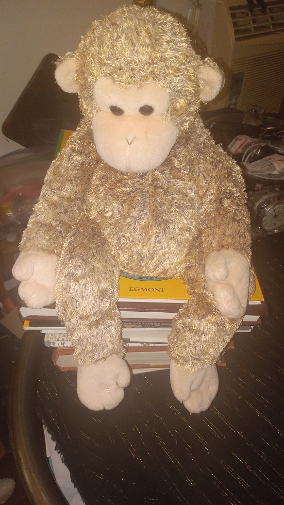 TY Beanie Buddy 2003 Collectible - photo 2