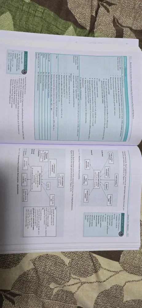 Essentials for the Canadian Medical Licensing Exam image indicator(3)