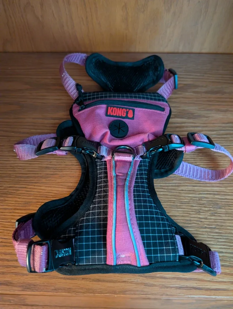 KONG Dog Harness & Leash Set