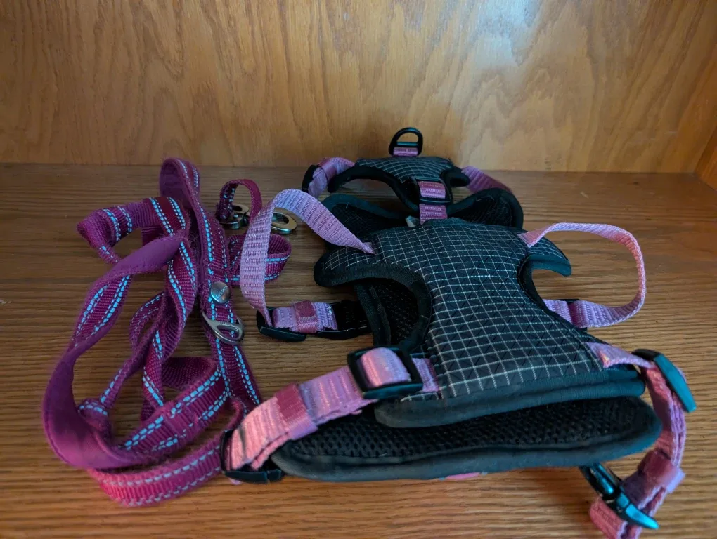 KONG Dog Harness & Leash Set image indicator(3)