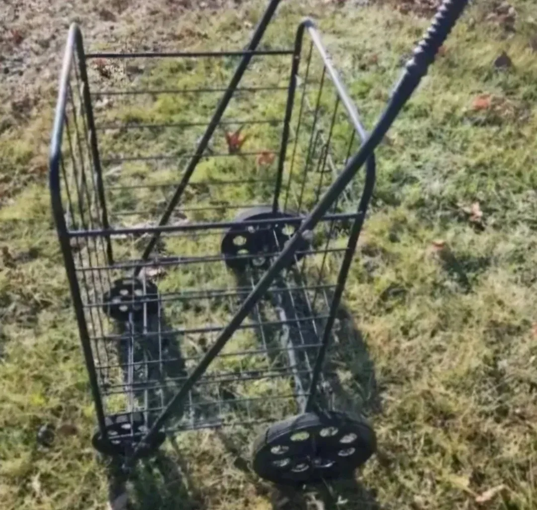 Folding Shopping Cart - Black