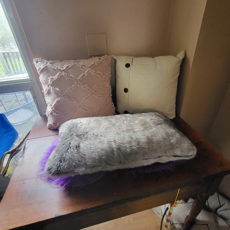 3 Urban Barn Throw Pillows- Used for staging