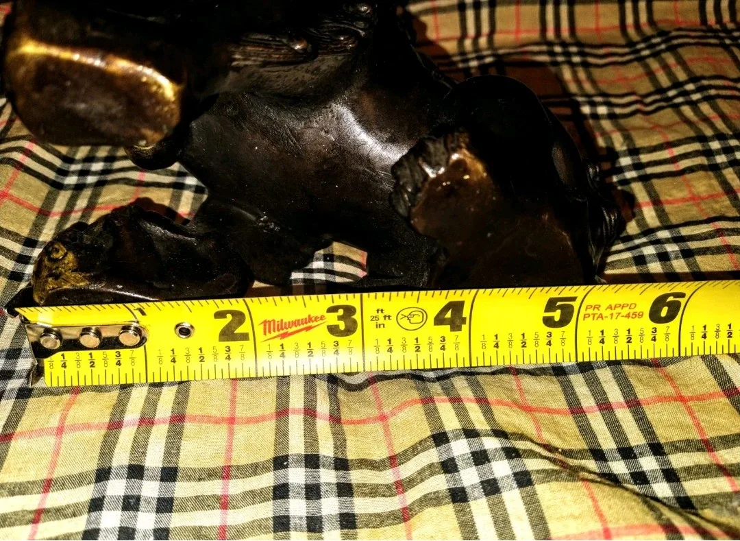 Chinese Guardian Lion Protection Prosperity and Good Fortune image indicator(10)