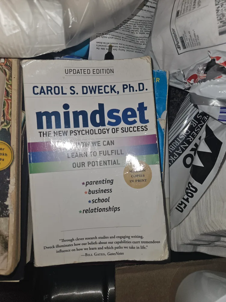 Mindset: The New Psychology of Success by Carol S. Dweck image indicator(5)