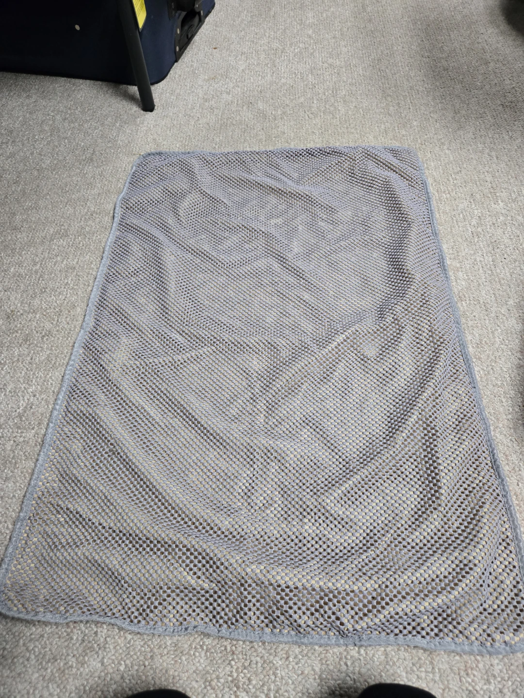 Sifting Cat Litter Box with Mat - photo 4