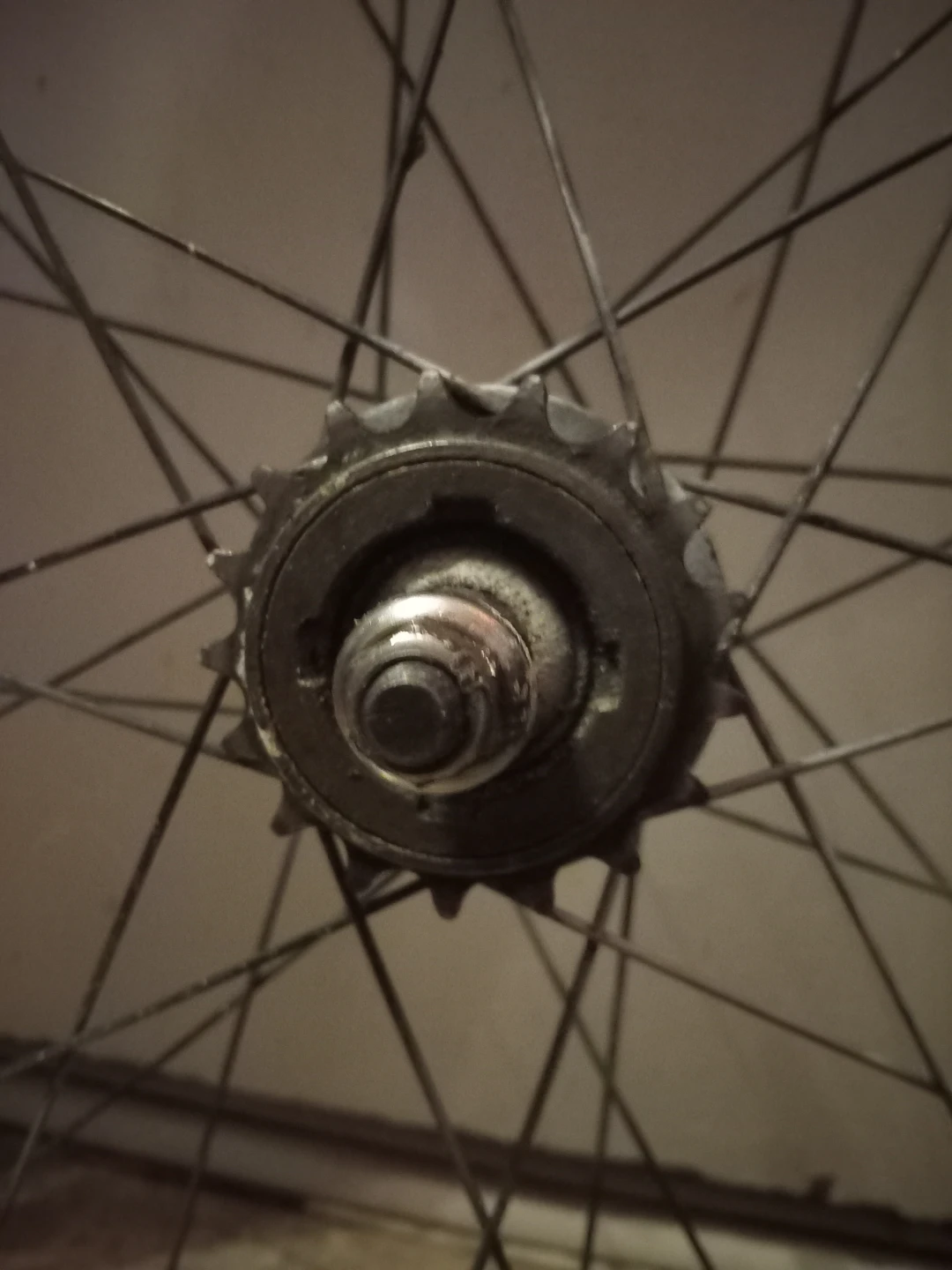 WTB ThickSlick Fixie Bike Wheel - photo 3