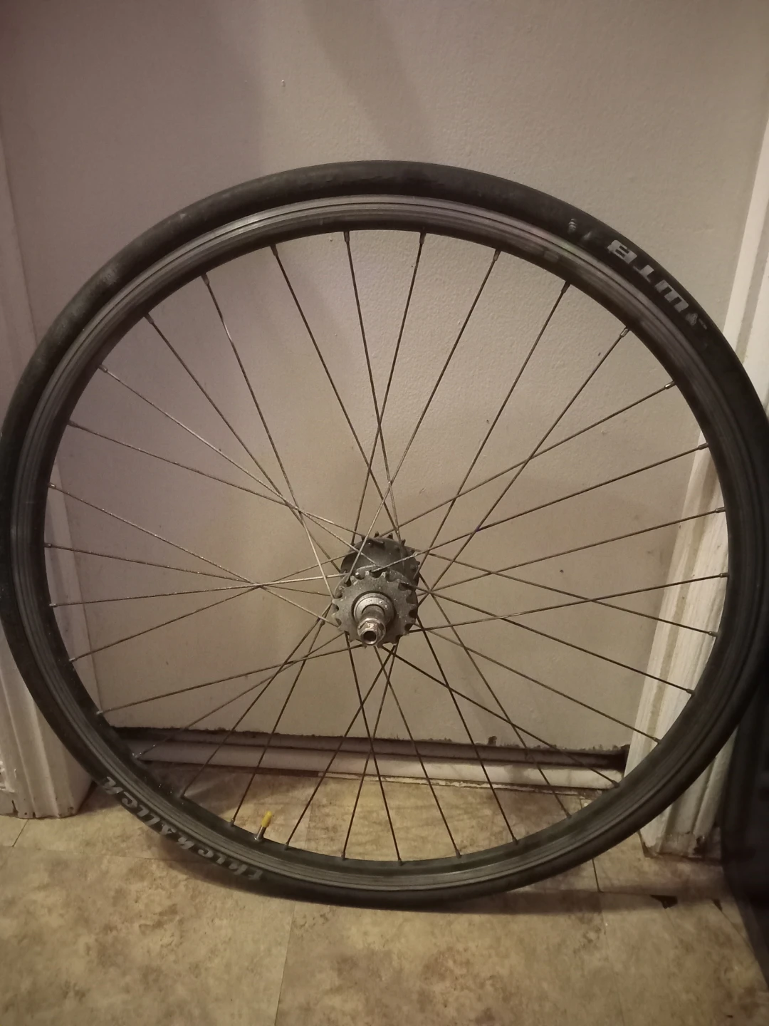 WTB ThickSlick Fixie Bike Wheel - photo 4