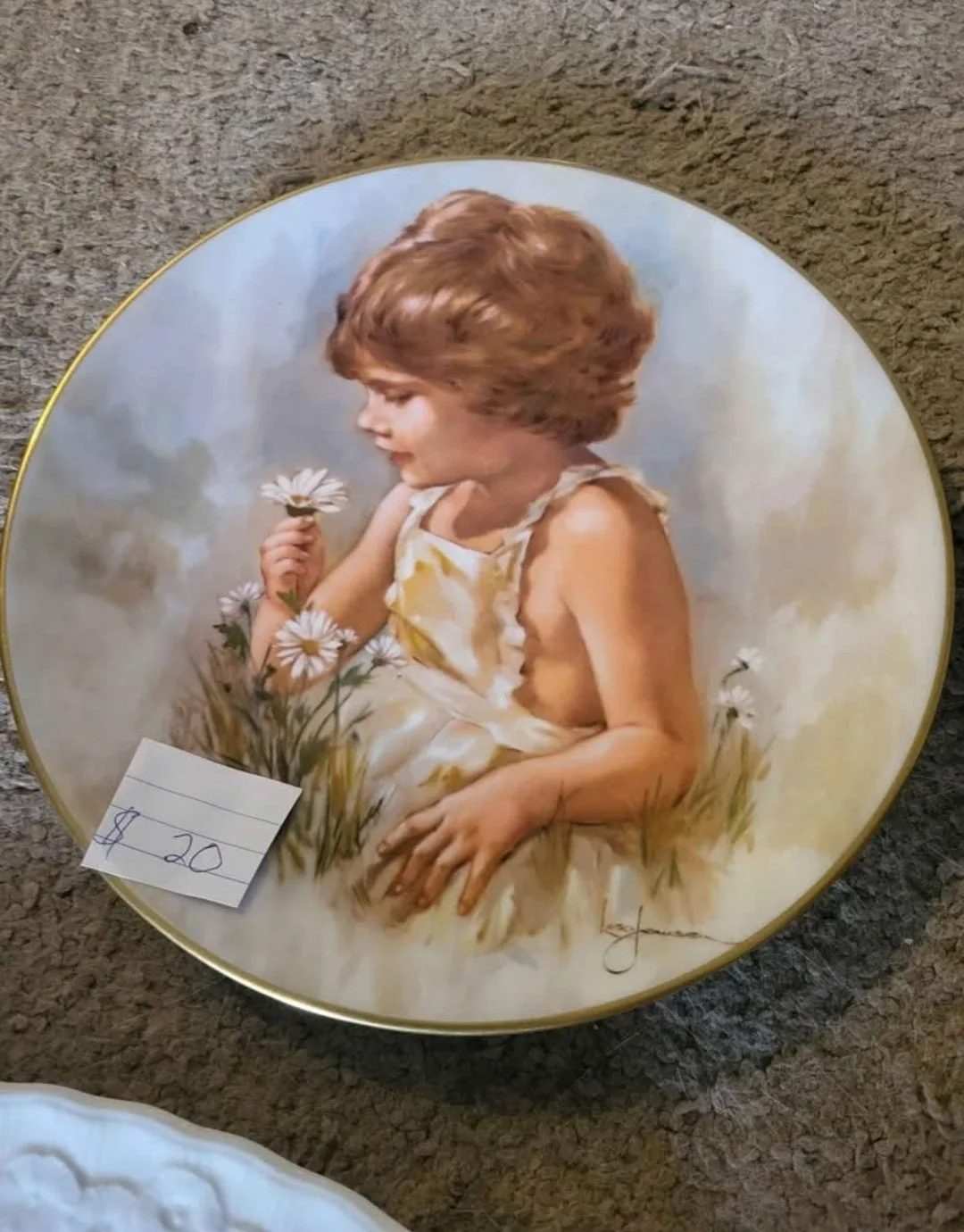 Decorative plates image indicator(2)