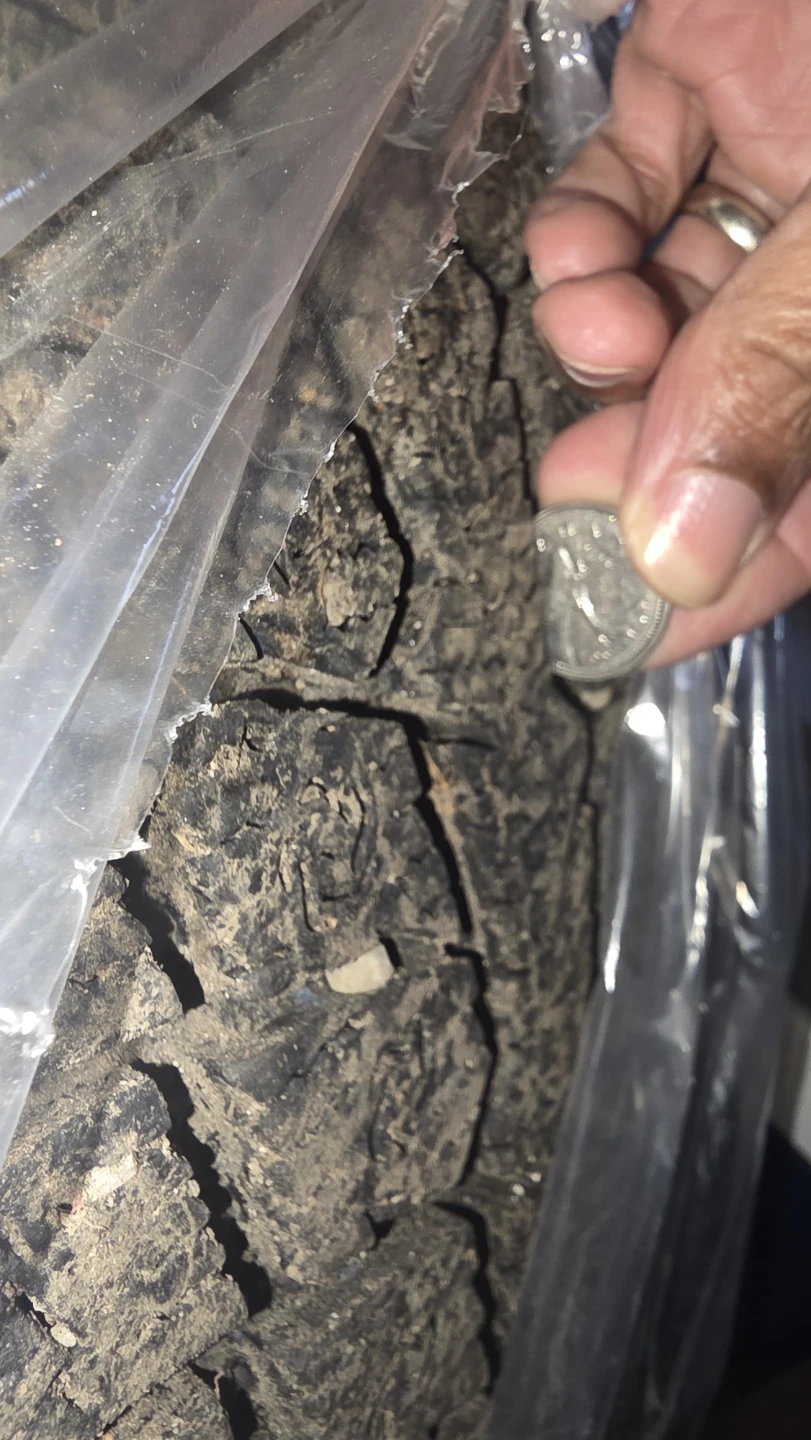 Used Tire - 225/55R19 99H - photo 3
