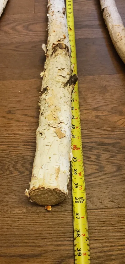 White Birch Branches - natural image indicator(3)