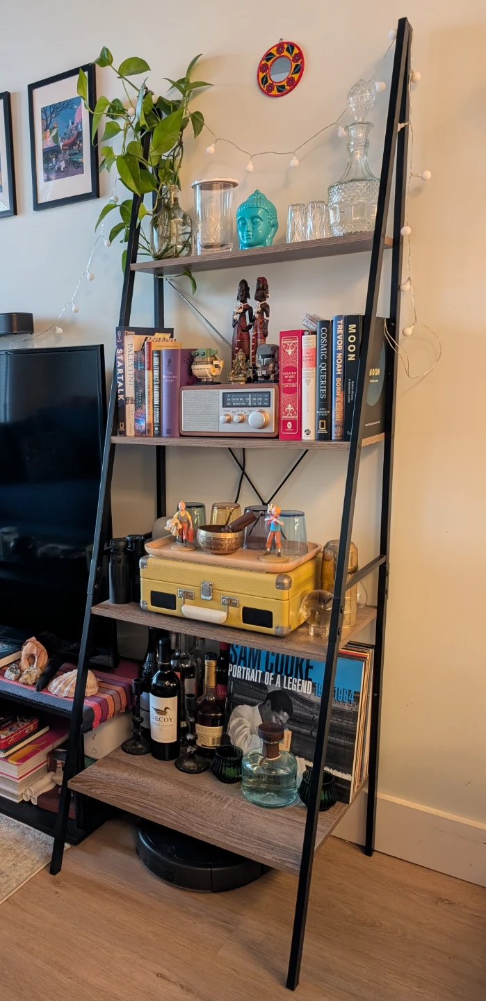 Ladder Shelf - Steel Frame - Stylish & Sturdy 🥕 - photo 2
