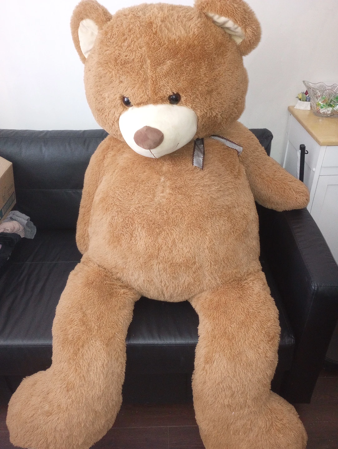 Huge Fun International Teddy Bear