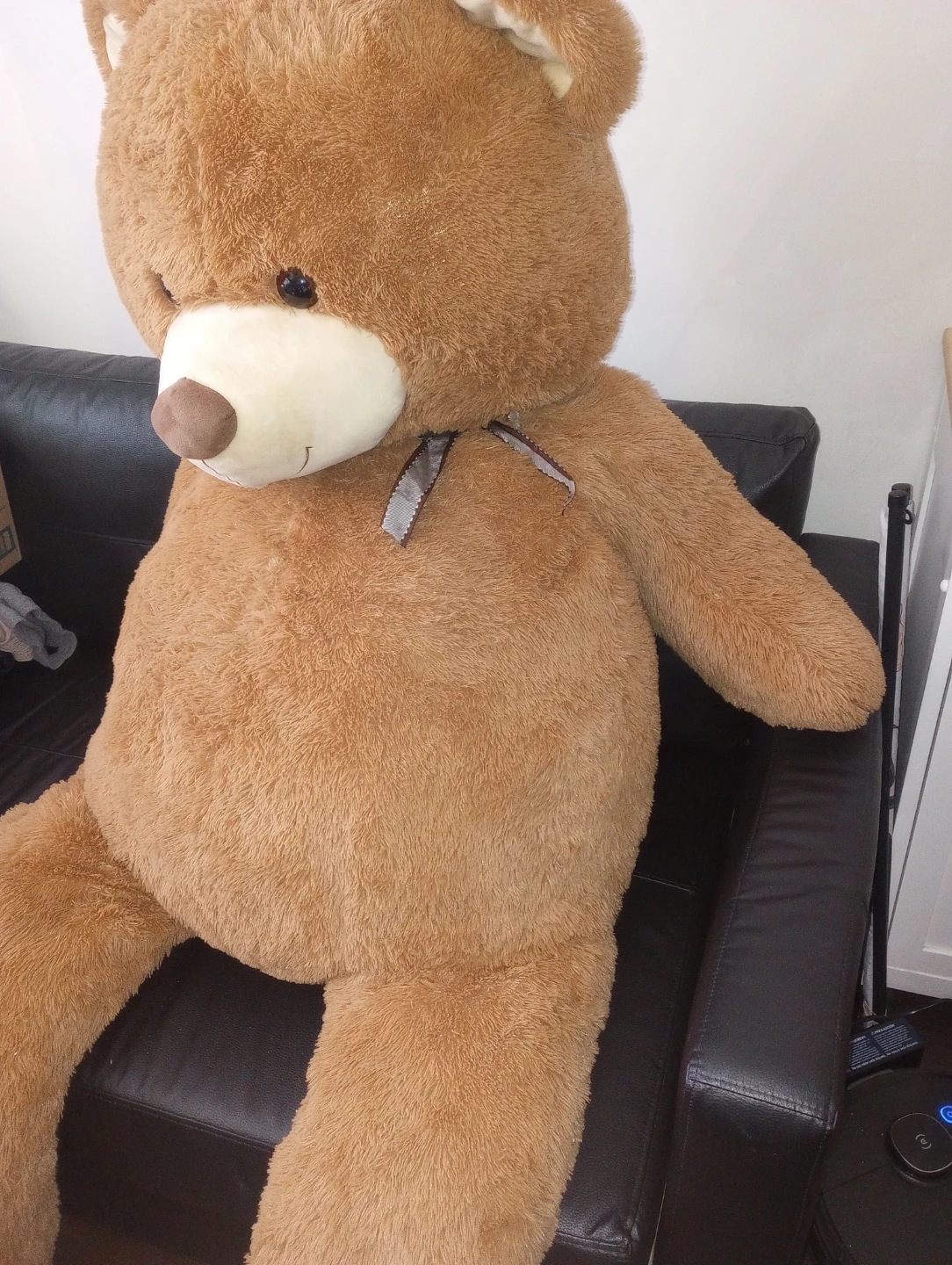 Huge Fun International Teddy Bear - photo 2