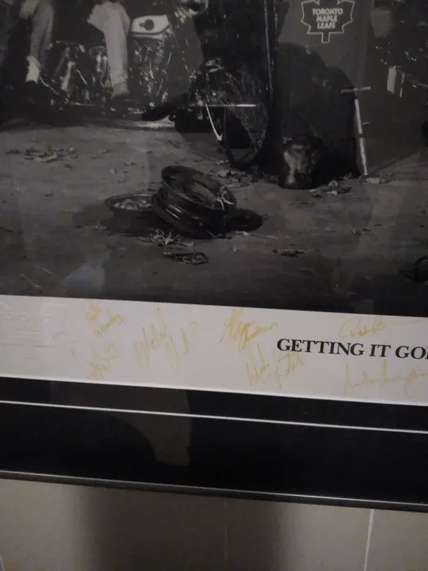 Toronto Maple Leafs Framed Picture image indicator(2)