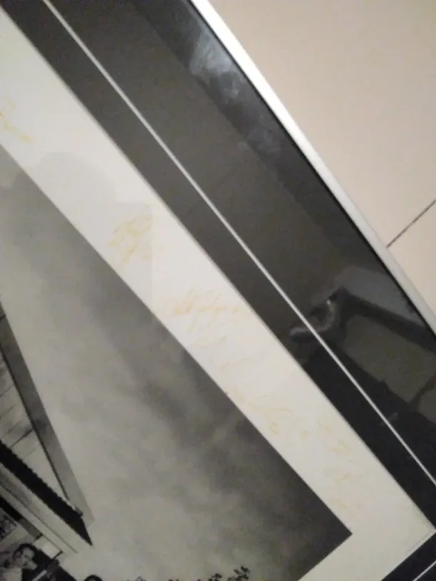 Toronto Maple Leafs Framed Picture image indicator(4)