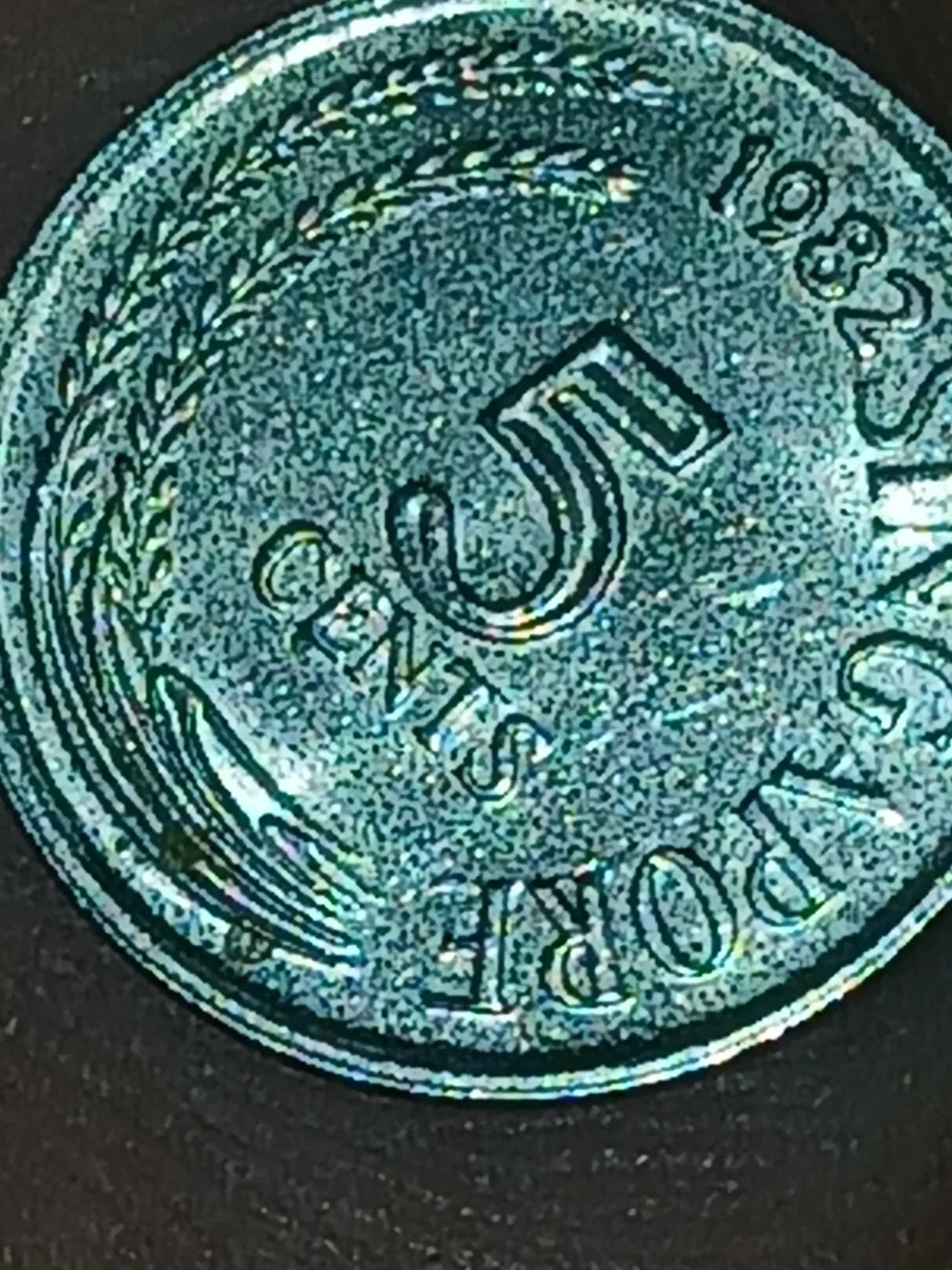 Singapore rare and collectible coin image indicator(2)