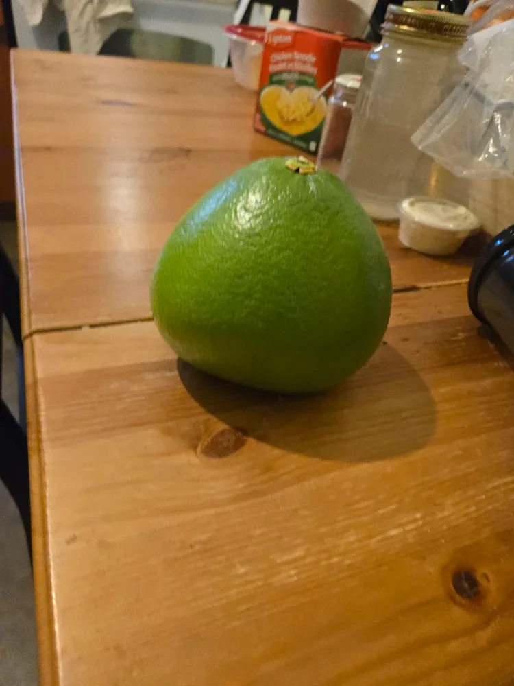 Pomelo for free image indicator(2)