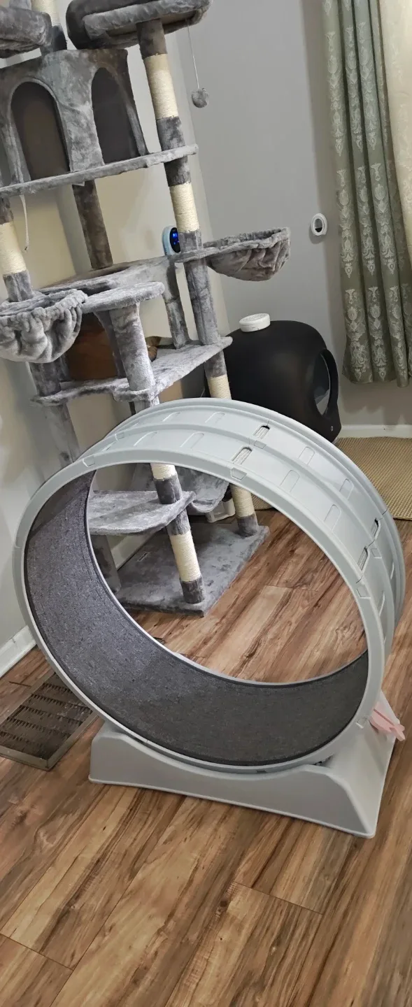 Cat Exercise Wheel