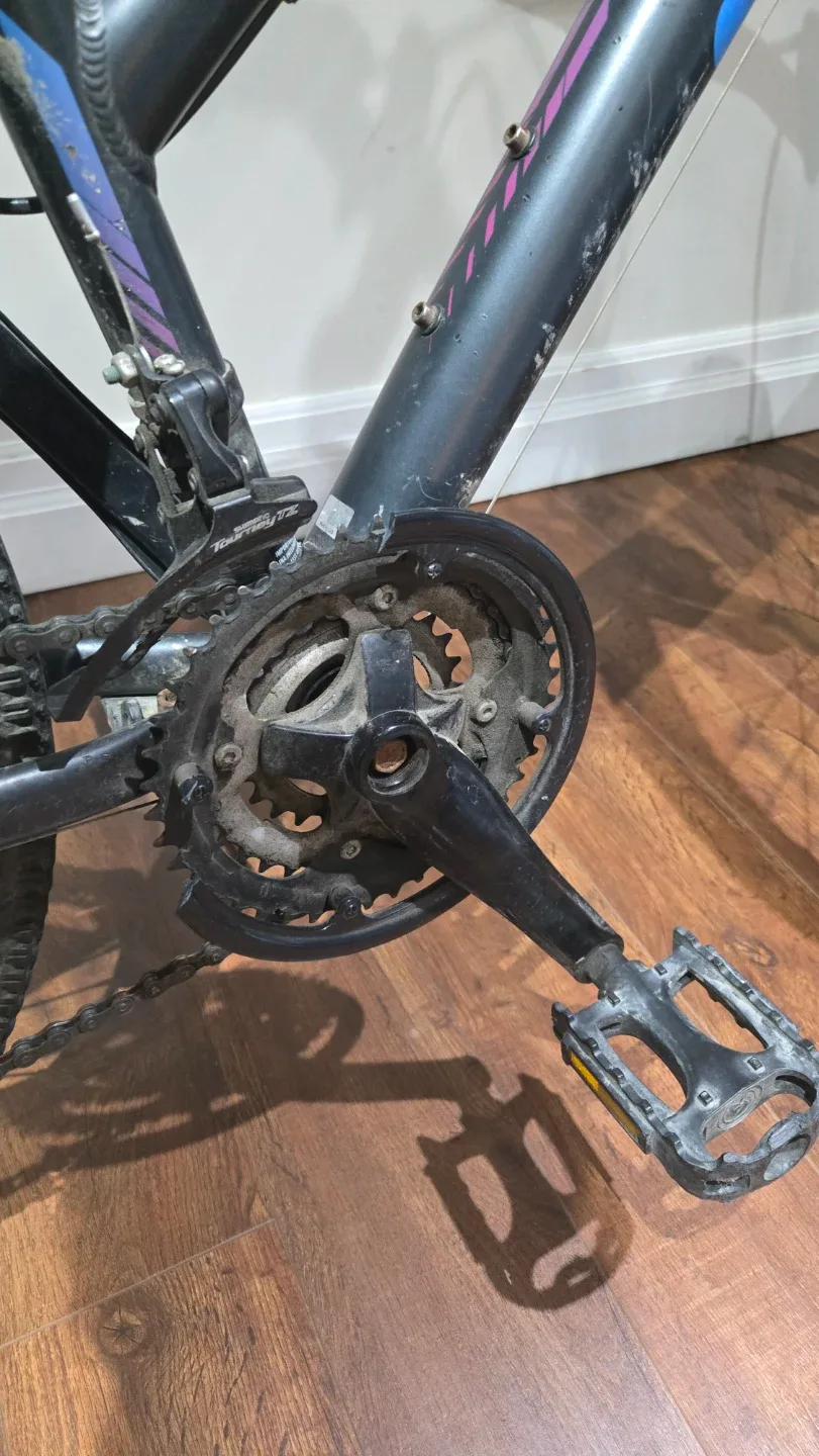 Diadora Orbita  Women's Bike image indicator(3)