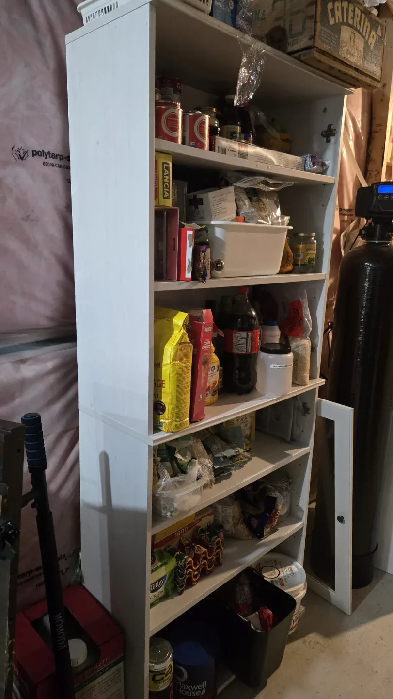 White Storage Cabinet with Shelves with Optional Doors