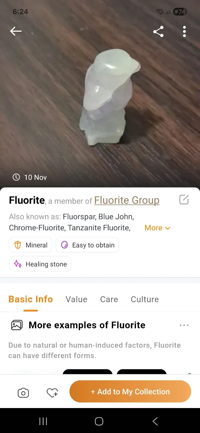 Fluorite Bird Carving image indicator(5)