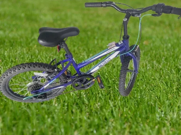 Movelo Algonquin 18" boys' Steel Mountain Bike image indicator(3)