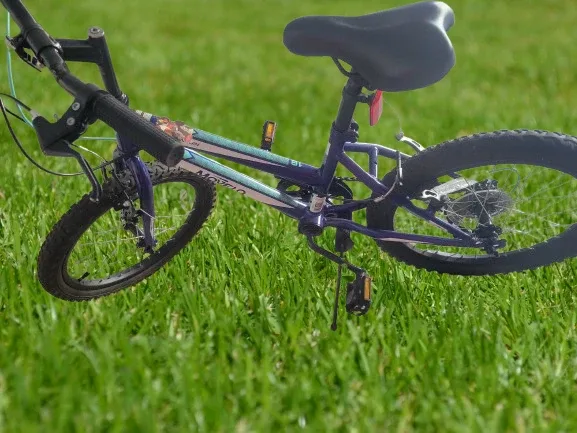 Movelo Algonquin 18" boys' Steel Mountain Bike image indicator(4)