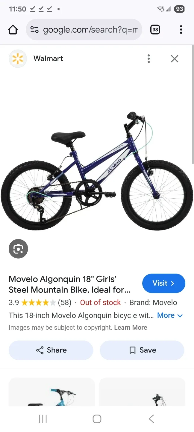 Movelo Algonquin 18" boys' Steel Mountain Bike image indicator(5)