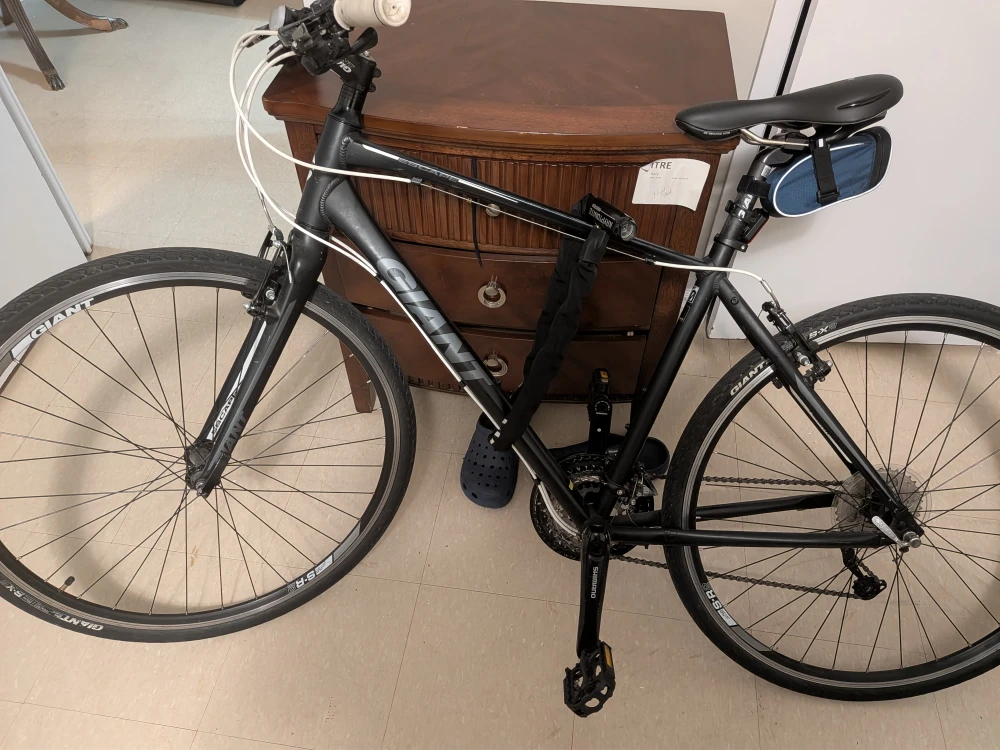 Giant Escape Bicycle - Great Condition!