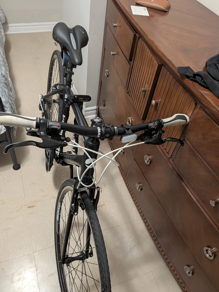 Giant Escape Bicycle - Great Condition! - photo 3