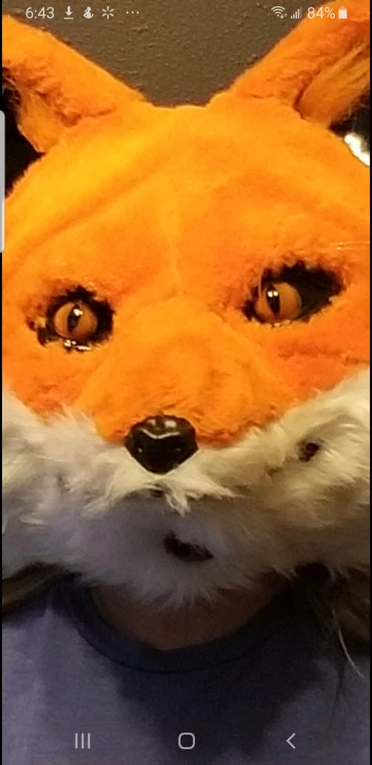 Adult Sized Furry Foxy Head - photo 2