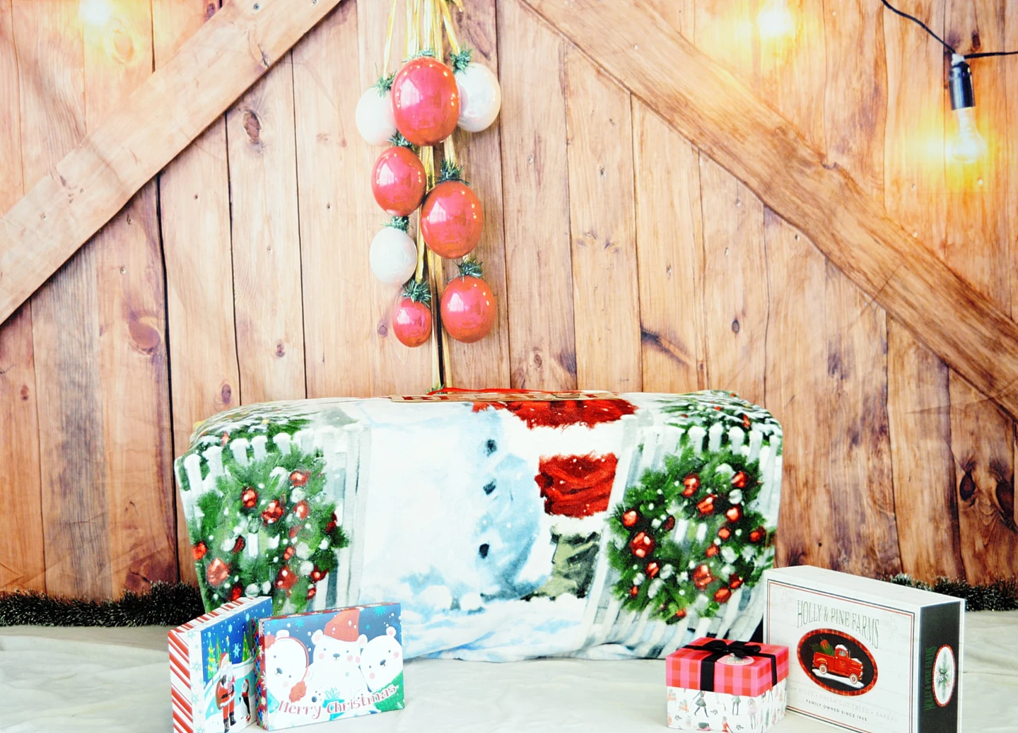 Christmas Minis Outdoor/Indoor Sessions - photo 2