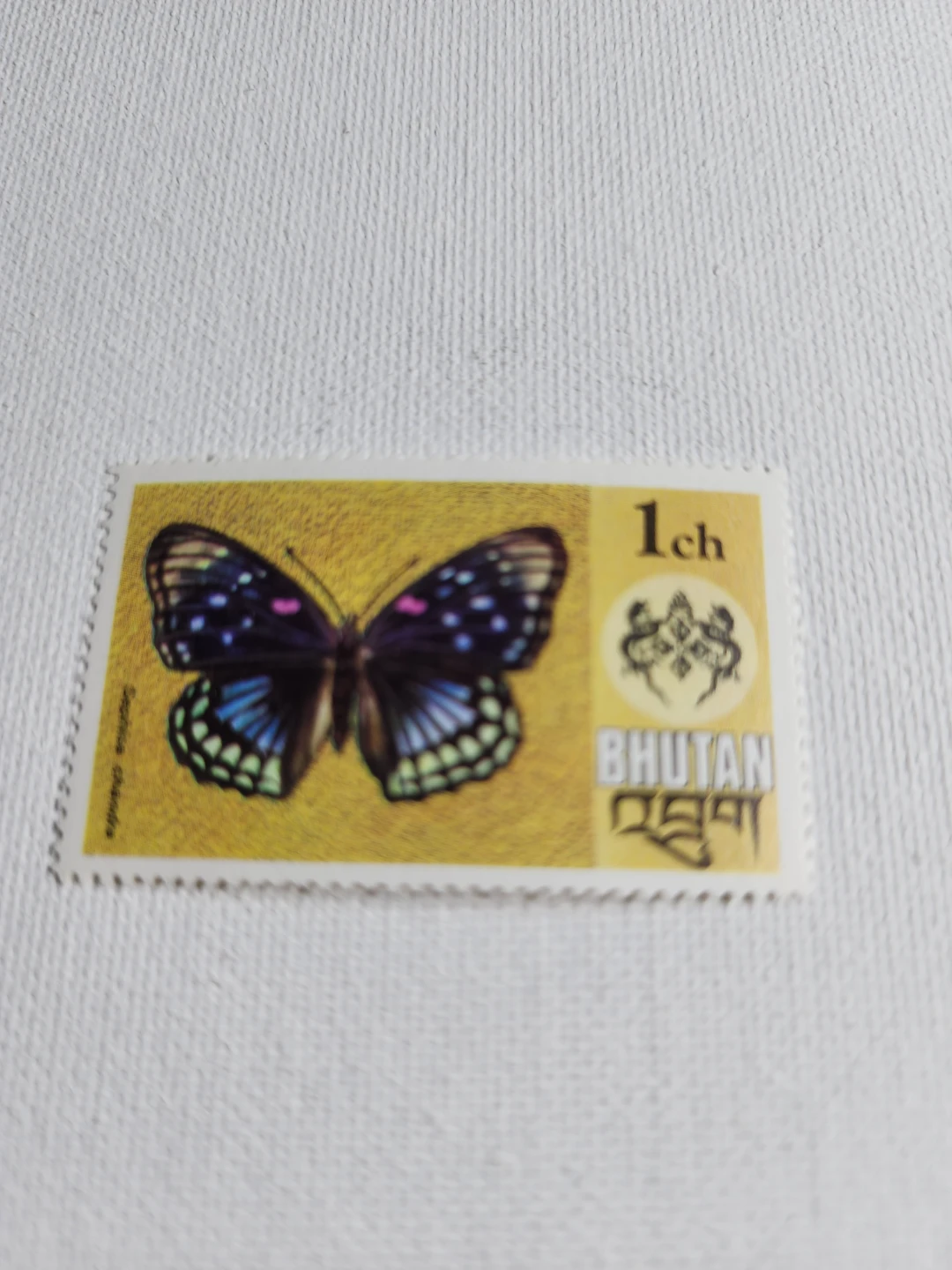 Bhutan 1 Ch Stamp with Butterfly