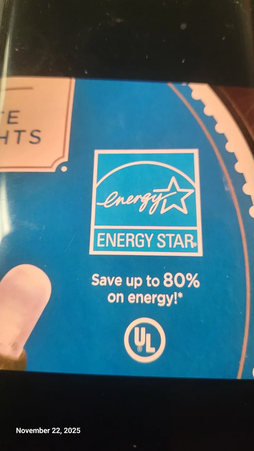 Holiday Time 225 Cool White LED Mini Lights - 60 ft image indicator(2)