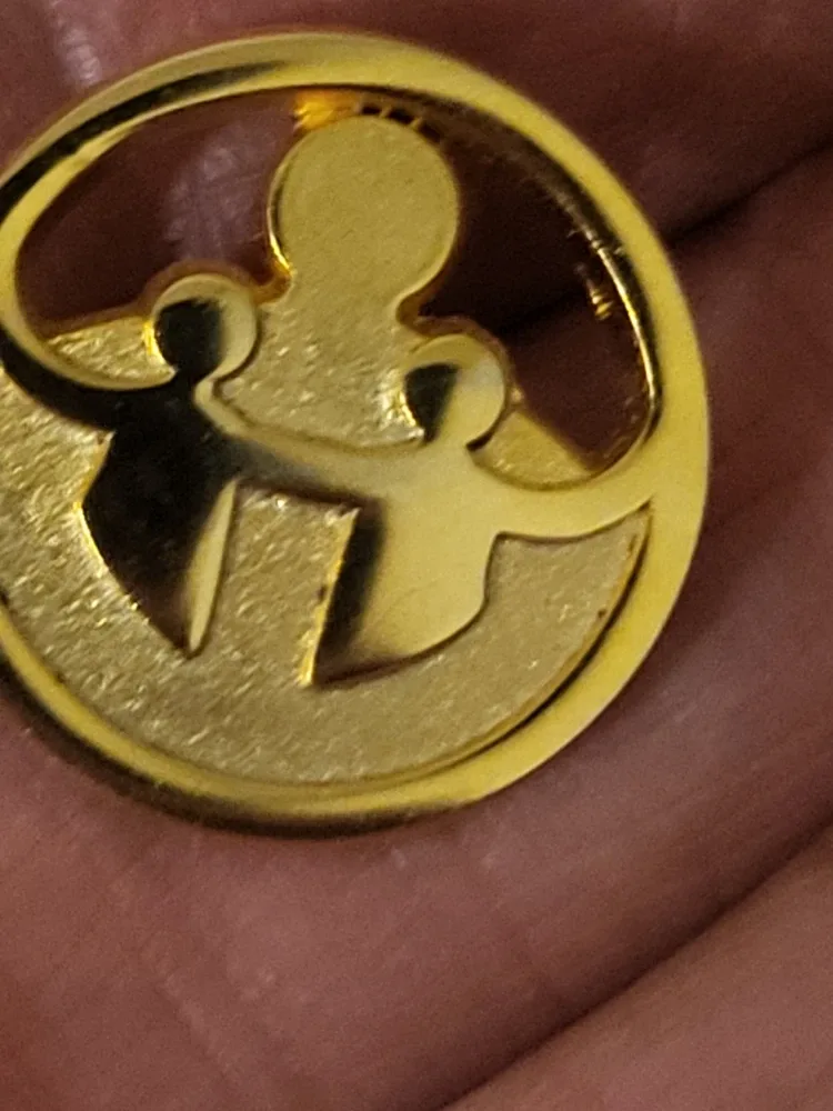 Vintage Manitoba & Town of Raymond Pin Lot of 7 pins. image indicator(7)