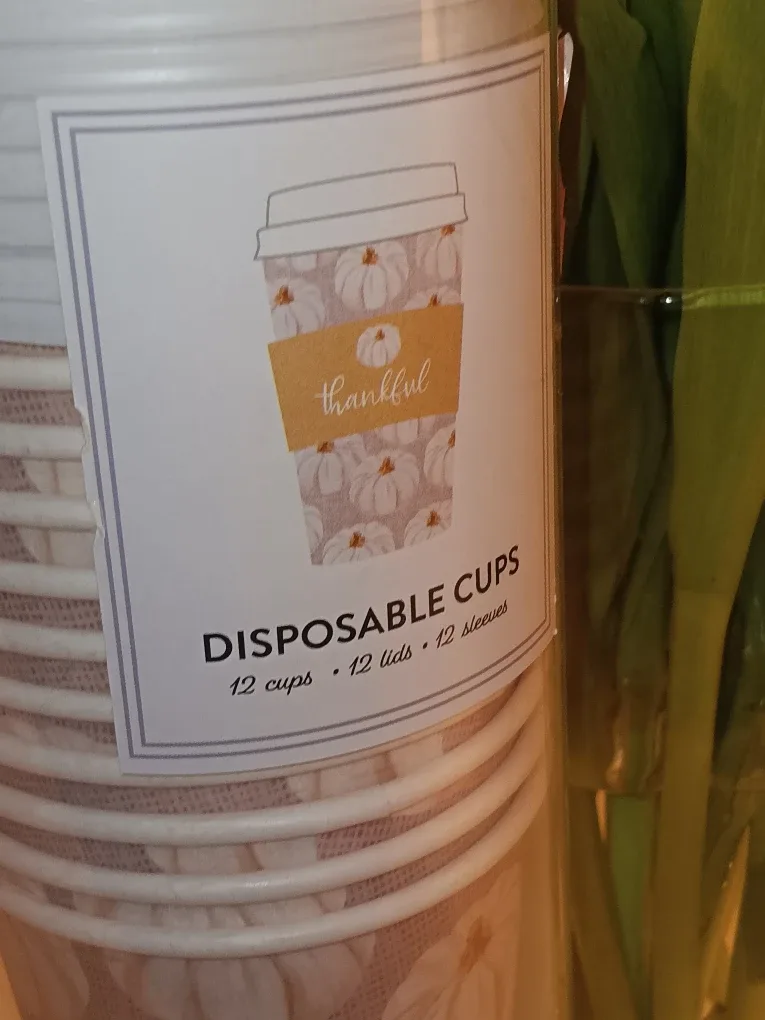 Thankful Disposable Cups - 12 count