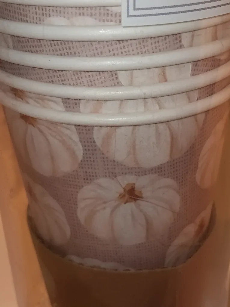 Thankful Disposable Cups - 12 count image indicator(2)