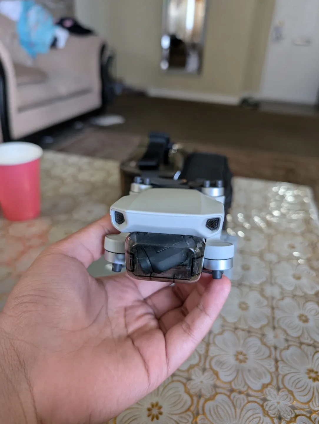 DJI Mini 2 Drone image indicator(2)