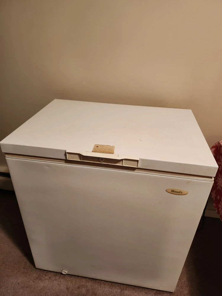 Freezer (food not included) - photo 2