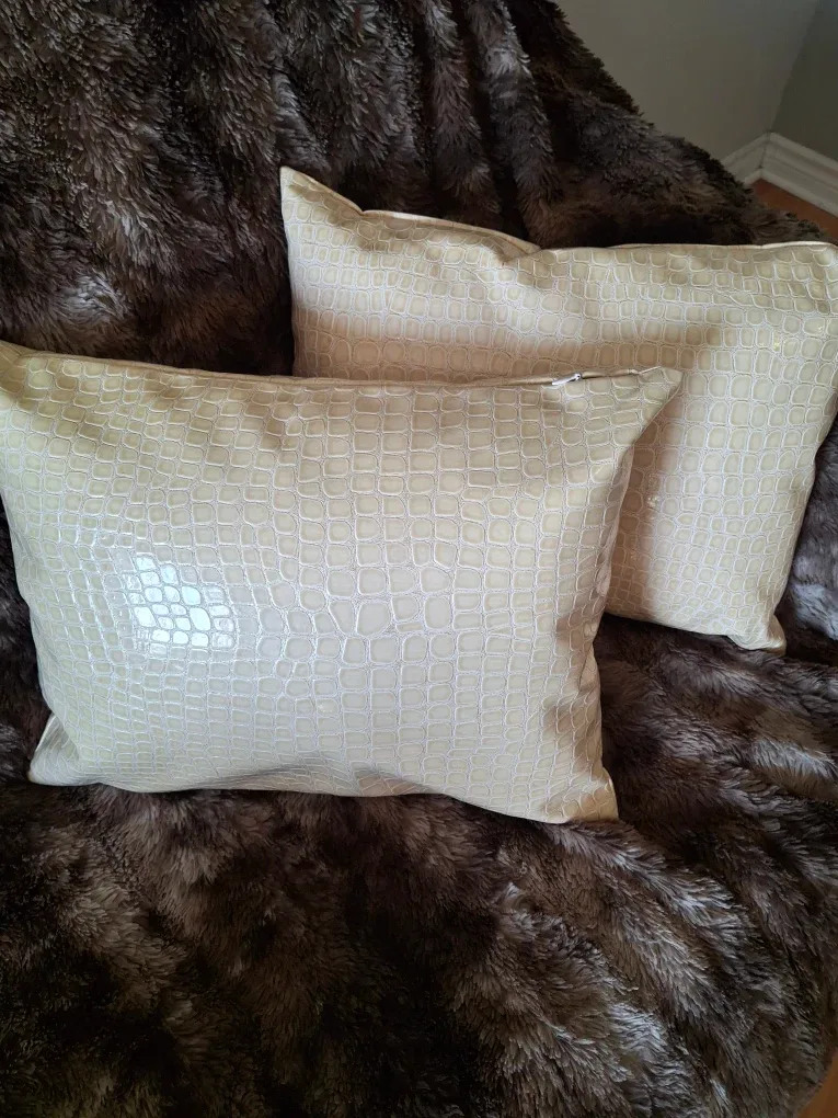 Candice Olson Decorative Pillows - Set of 2 image indicator(7)