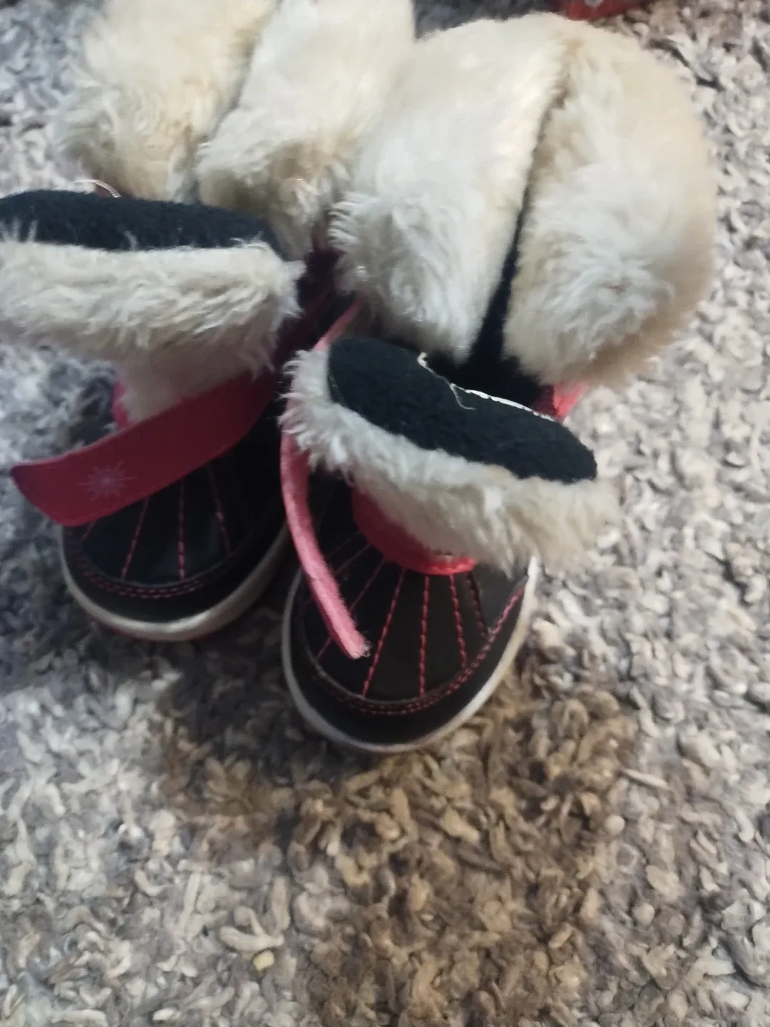 Baby/Toddler Shoes Bundle image indicator(6)