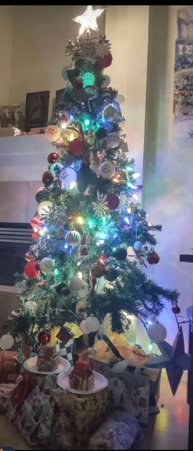 Fiber Optic Christmas Tree image indicator(2)